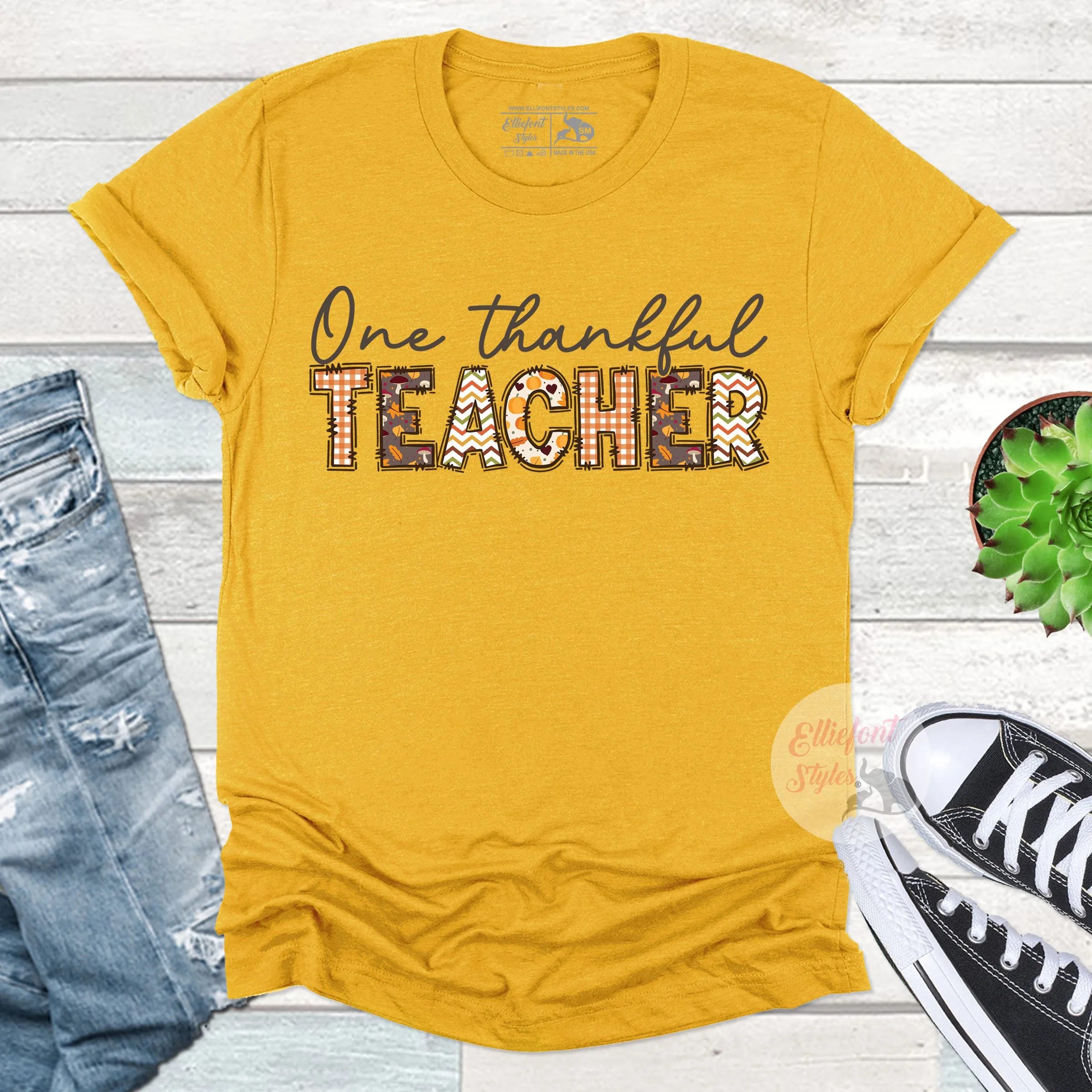 One Thankful Teacher Shirt